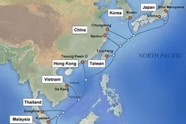 Servicios de internet en Vietnam afectados por fallo en cable submarino APG