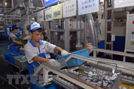 Presentan en Italia potencialidades de inversión en Vietnam 