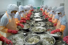 EE.UU. aplicará vigilancia a exportaciones vietnamitas de camarón y oreja de mar 