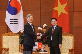 Vietnam y Corea del Sur trazan planes para agilizar cooperación en auditoría
