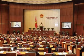 Votantes esperan que el Parlamento vietnamita perfeccione regulaciones para recuperar bienes