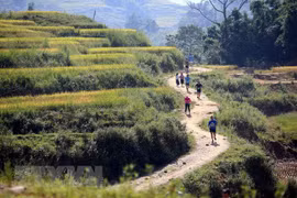 Celebran maratón de montaña internacional en Vietnam