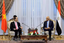 Presidente de Vietnam destaca nexos de amistad tradicional con Egipto 