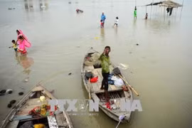 Vietnam extiende condolencias a la India por pérdidas causadas por inundaciones