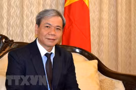Relaciones Vietnam-India registran un desarrollo sustantivo, afirma embajador vietnamita