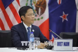 Vietnam y Japón reiteran compromiso con cooperación en el marco de CPTPP 