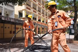 Grupo de electricidad de Vietnam alcanza crecimiento de 12 por ciento de producción 