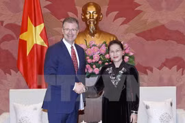 Vietnam y Estados Unidos hacia una cooperación más práctica y eficaz