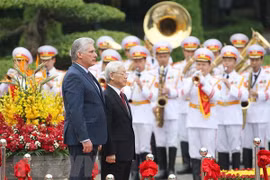  Máximo dirigente político de Vietnam recibe a presidente cubano 