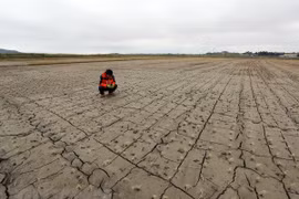 Vietnam responde al Día Mundial de Lucha contra la Desertificación y la Sequía