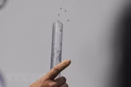 Vietnam libera más mosquitos contra dengue