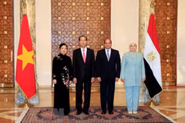 Vietnam y Egipto acuerdan promover cooperación en todas las esferas 