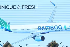 Nueva aerolínea vietnamita explotará unas 100 rutas 