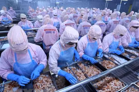Empresas vietnamitas estudian oportunidad de negocios en África 