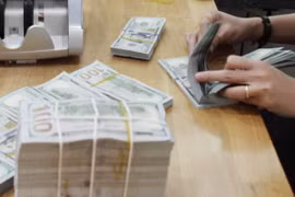 Reservas de divisas de Vietnam ascienden a 64 mil millones de dólares 