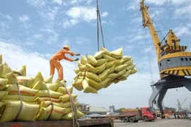 Economía de Vietnam registra alentadora recuperación, valora economista australiano​