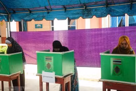 Tailandia: elecciones generales seguirán estrictamente los procedimientos legales