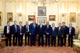 Presidente de Vietnam concluye visita estatal a Egipto