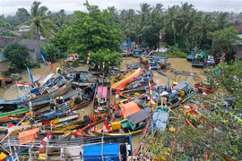 Terremoto de 6.1 grados de magnitud sacude provincia indonesia de Papúa Occidental