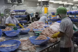 Exportación de pescado Tra vietnamita supera los mil millones de dólares en siste meses 