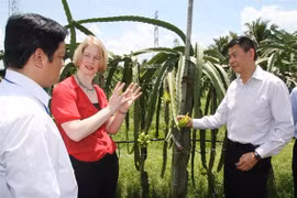Vietnam y Nueva Zelanda dirigen hacia intercambio comercial de mil 700 millones de dólares 