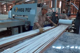 Europa, cuarto mayor importador de madera de Vietnam