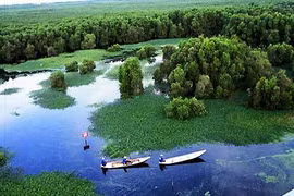 Adoptan en Vietnam medidas para preservar la biodiversidad de parque nacional