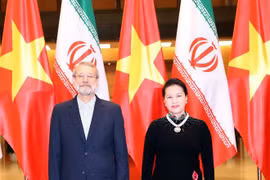 Vietnam e Irán aspiran a intercambio comercial de dos mil millones de dólares 