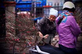 El Calendario Lunar guía la vida vietnamita