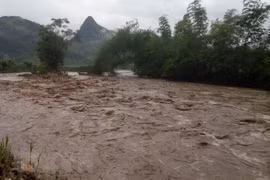 Socorristas de Vietnam salvan a más de cinco mil personas afectadas por desastres naturales en 2017