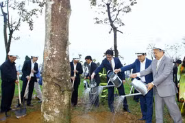 Inician en Hanoi festival de plantación de árboles