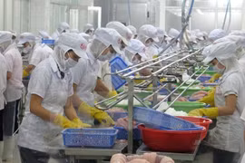 Banco Mundial prevé crecimiento estable de la economía vietnamita