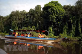 Región del delta de Mekong: destino atractivo para turistas extranjeros