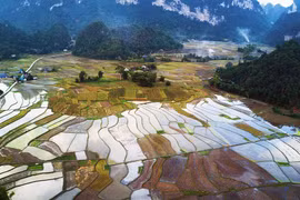 Vietnam se esfuerza por minimizar pérdidas de cosechas ante intensas precipitaciones 