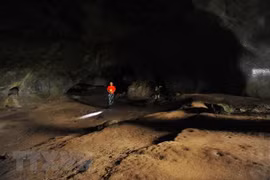 Hallazgo de vestigios prehistóricos en provincia norvietnamita de Tuyen Quang 