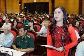 Provincia vietnamita de Dak Nong promocionará su fruta típica para ampliar el mercado