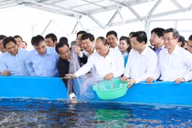 Inician construcción de zona agrícola de alta tecnología en provincia survietnamita