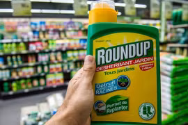 Vietnam considera eliminar uso de glifosato tras supuesto riesgo para la salud 