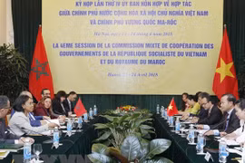 Vietnam y Marrueco intensifican cooperación multifacética