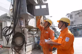 Producción eléctrica de EVN crece 12 por ciento en enero