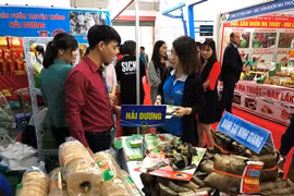 Ayudan a empresas vietnamitas a participar en redes de distribución extranjeras