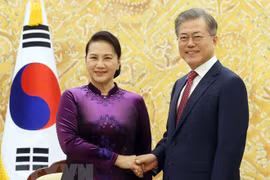 Vietnam y Corea del Sur patentizan atención en fortalecer lazos multifacéticos