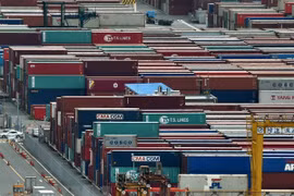 Analizan en Ciudad Ho Chi Minh medidas para aprovechar beneficios ofrecidos por el CPTPP