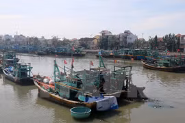 Embajada de Vietnam protege derechos de pescadores arrestados en Indonesia 
