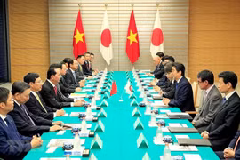 Vietnam y Japón apuestos por fortalecer nexos multifacéticos 