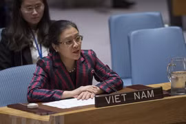 Vietnam exhorta a Consejo de Seguridad de ONU a resolver conflicto israelí-palestino