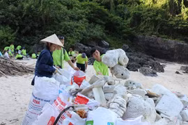 Organizaciones internacionales unen manos para proteger entorno natural en Vietnam