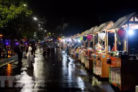 Visitantes disfrutarán de wifi gratuito en calle peatonal Trinh Cong Son en Hanoi