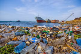 Vietnam: Jóvenes de ciudad de Da Nang protegen océano de desechos plásticos