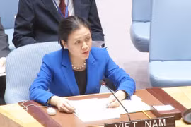 Vietnam asiste a Reunión de Altos Funcionarios del Movimiento de Países no Alineados 